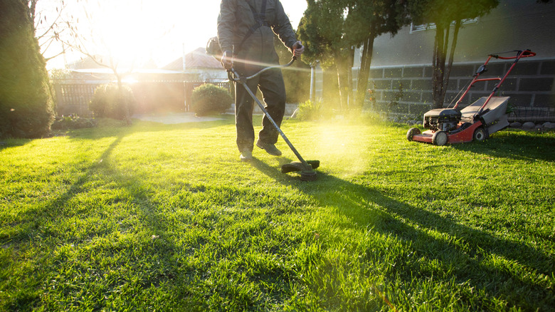 Mowing the grass with a lawn mower.