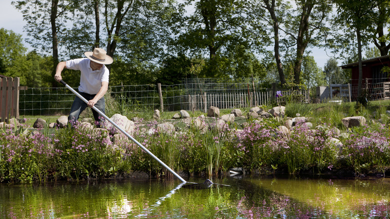 man cleaning koi pond