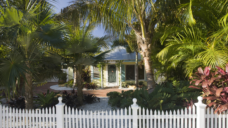 Luxury home with picket fence and palm trees in front yard
