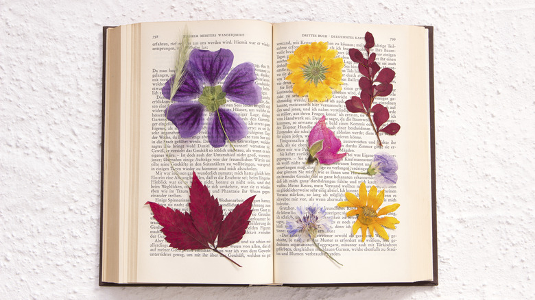 flowers pressed in a book