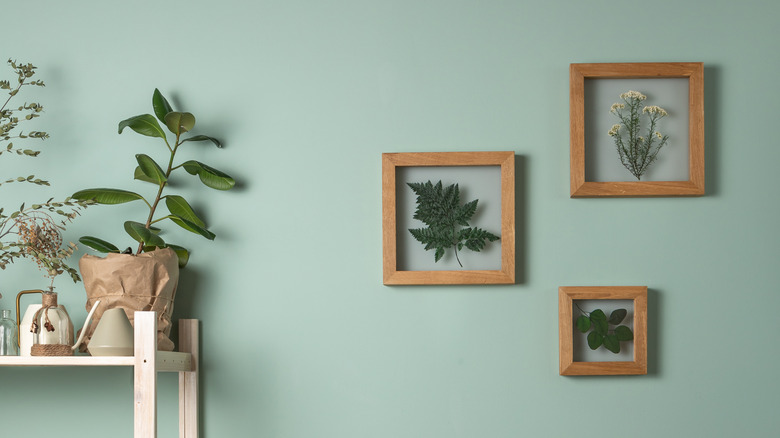 pressed flowers hung on wall