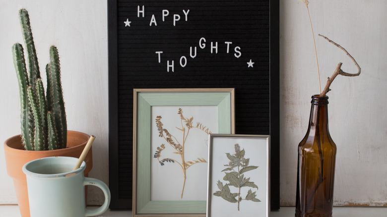 pressed flowers in frames