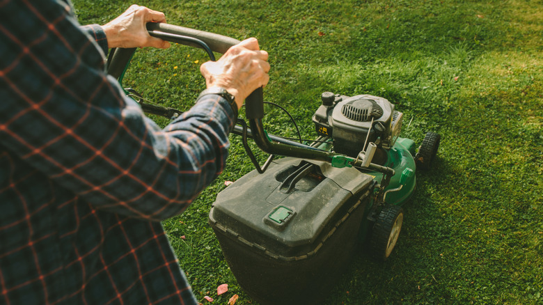 Person operates a push lawn mower