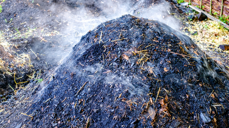 Steam rising from large compost pile