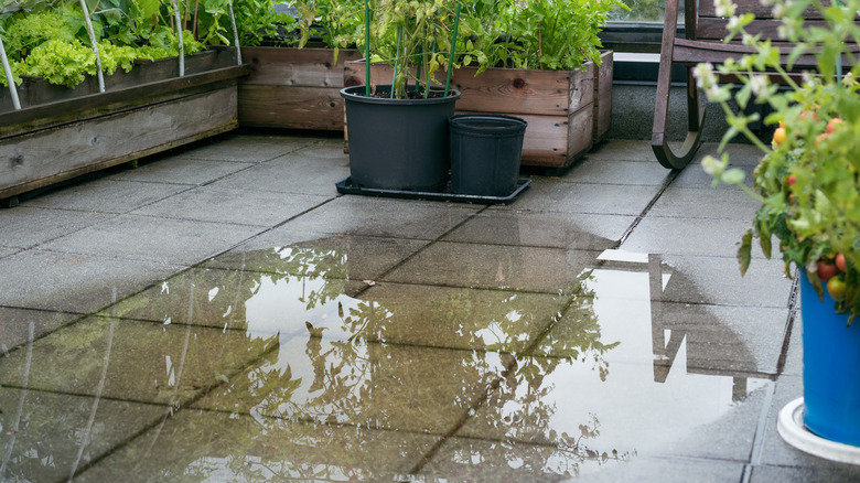 Rain pooling on a concrete patio