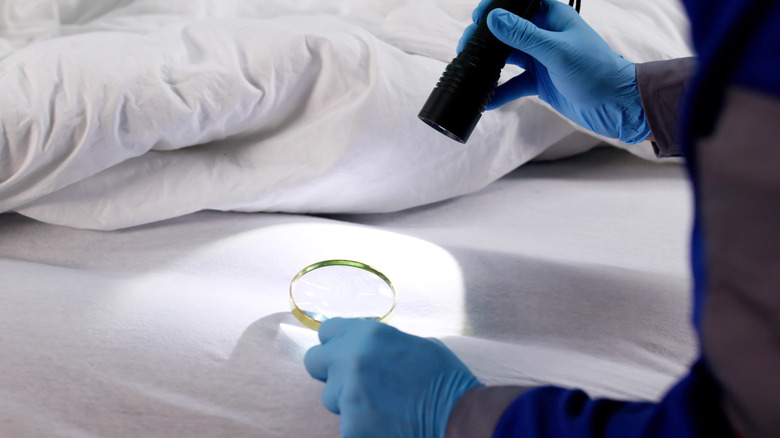 A person inspecting a mattress for bed bugs with a flashlight and magnifying glass