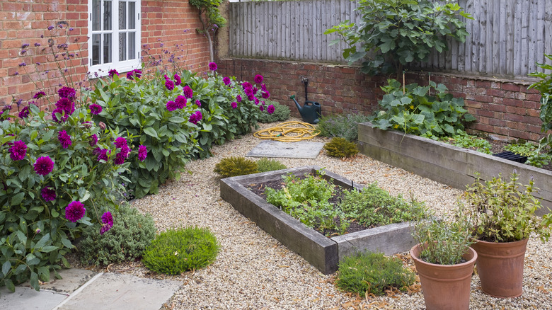 Cottage garden with gravel landscaping
