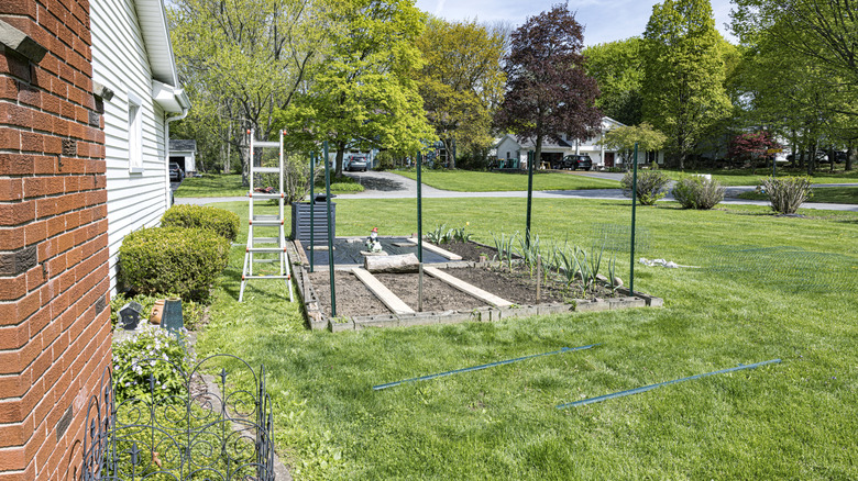 Installing fence around garden in backyard