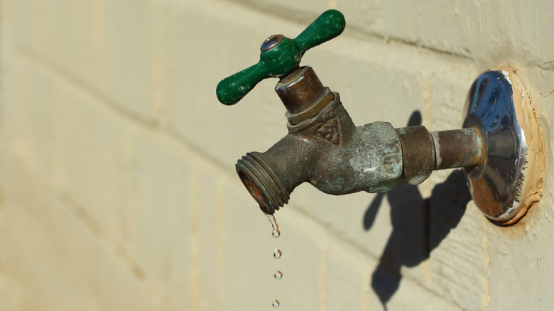 Rusty dripping hose spigot