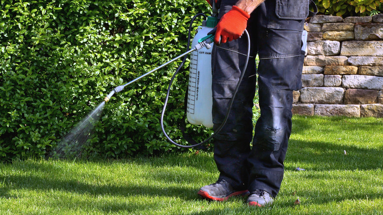 man treating grass with sprayer