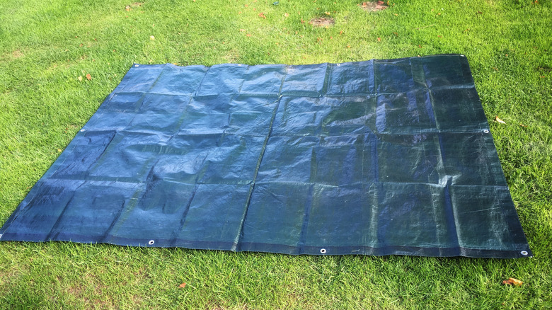 Tarp on grass