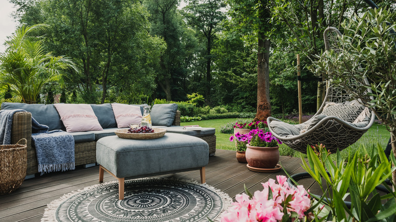Beautiful furniture setup in backyard