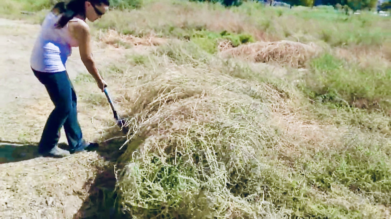 Woman works on removing tumbleweed.