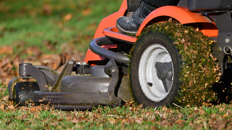A riding lawn mower going over leaves