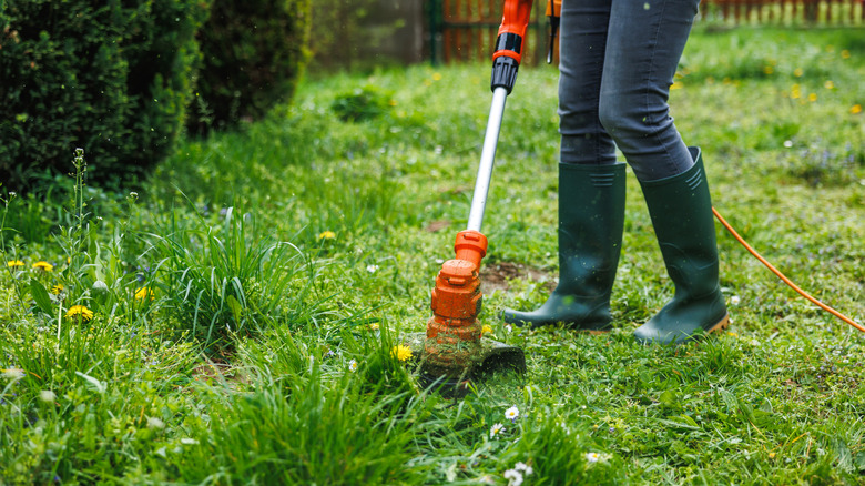 Person using string trimmer