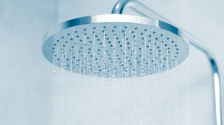 rainfall showerhead