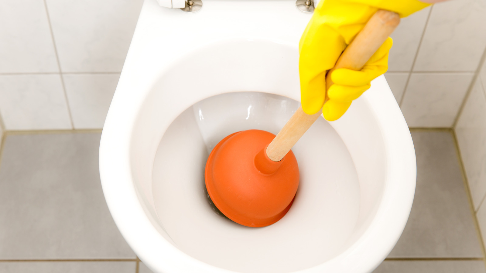 The 9 Best Toilet Plungers of 2023