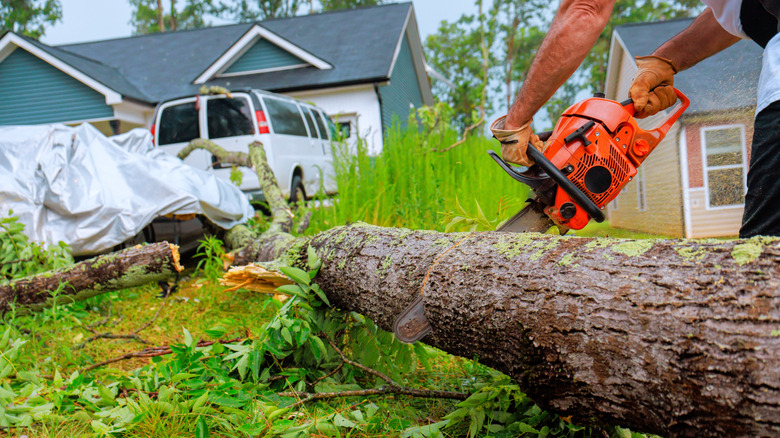Worker cuts down fallen tree with chainsaw in suburban neighborhood after storm