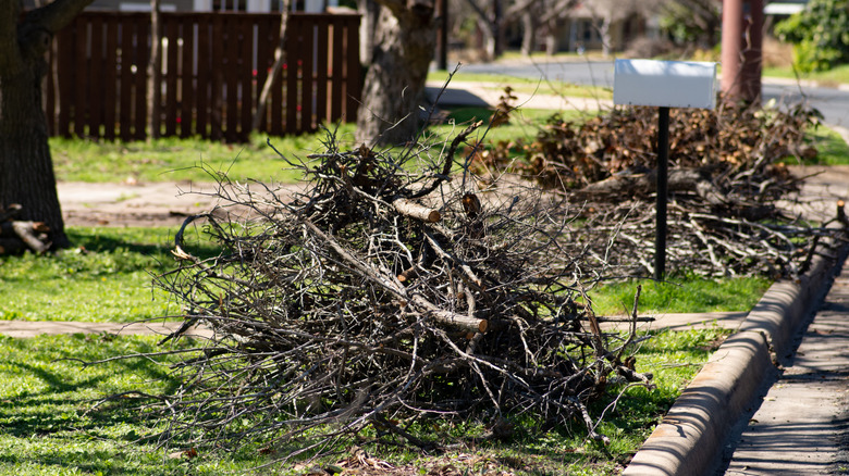 Large piles of brush and dead branches at the curb.