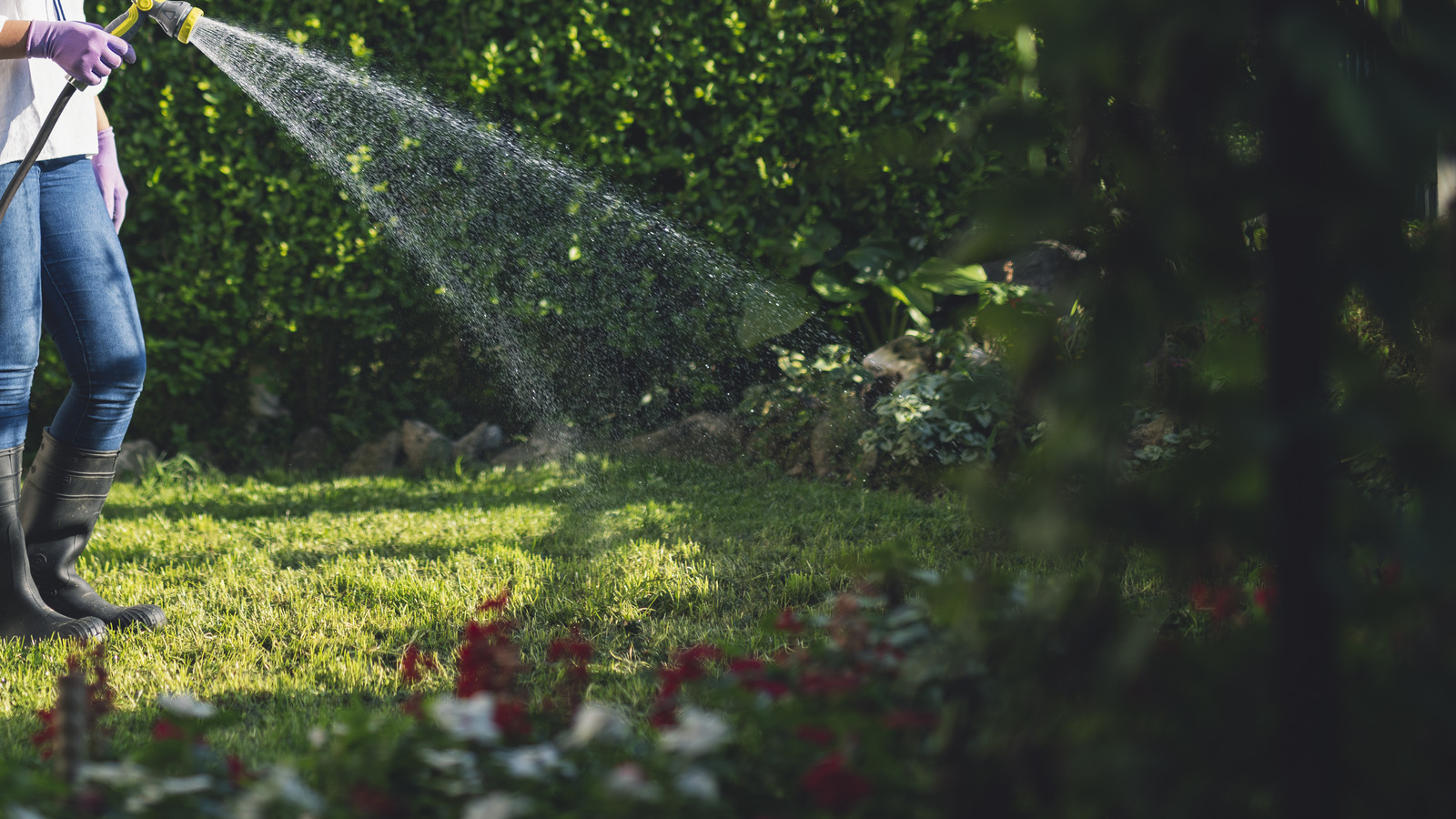 How To Protect Against Weeds After Hydroseeding Your Lawn