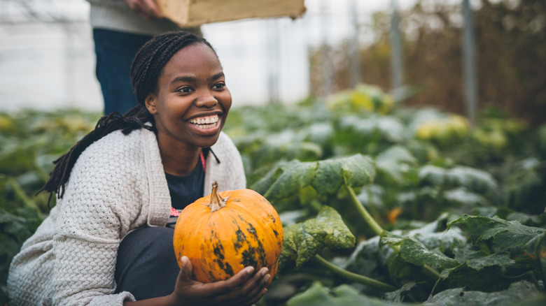 person holding pumpkin