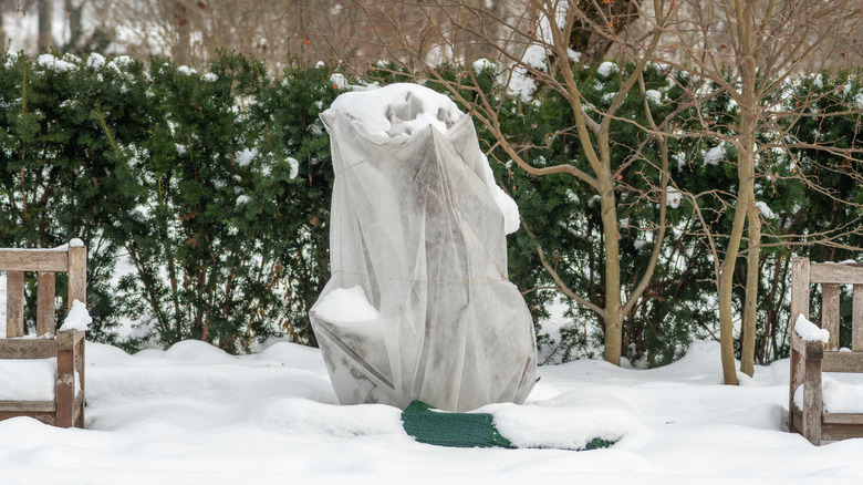 Tree wrapped in snowy yard