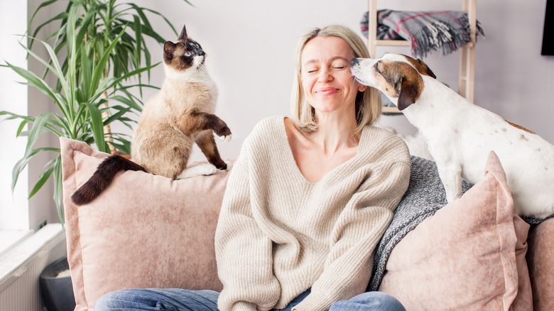 pets on couch with owner