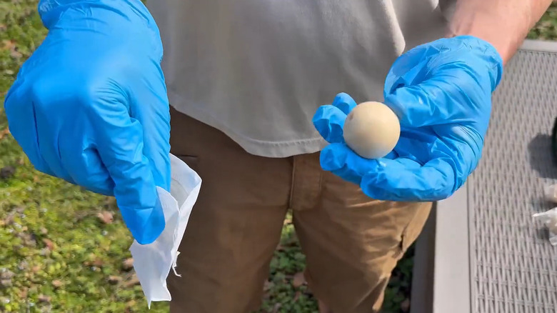 a man puts a scented deer repellent ball in a hanging pouch