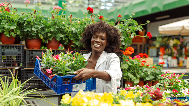 Woman shopping for garden flowers