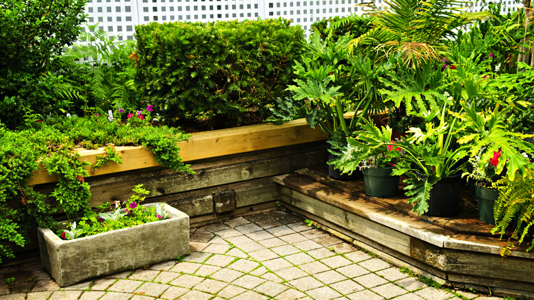 A low wood retaining wall holds back a lush green garden.