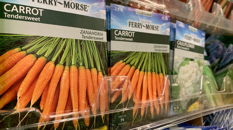 Close-up of carrot seed packets in store