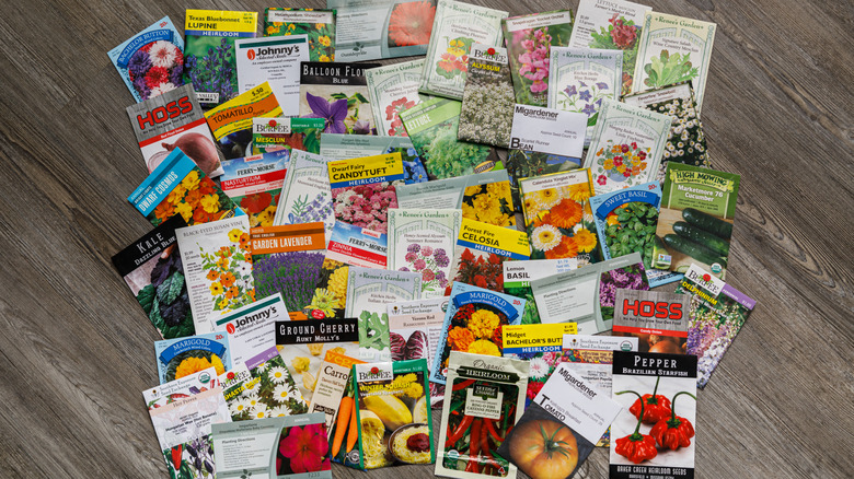 A large variety of seed packets arranged on the floor