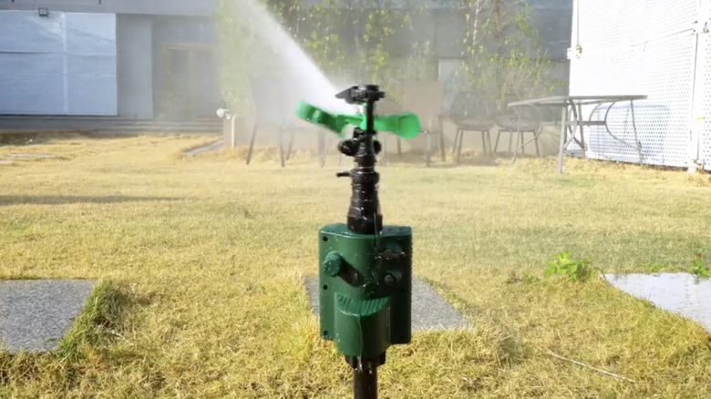 A motion-activated sprinkler spraying water in a backyard.
