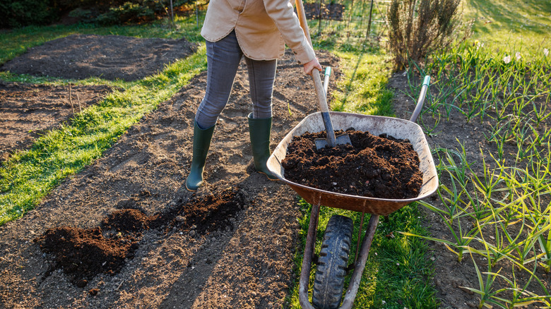 A gardener shovels compost onto a garden bed in their backyard.