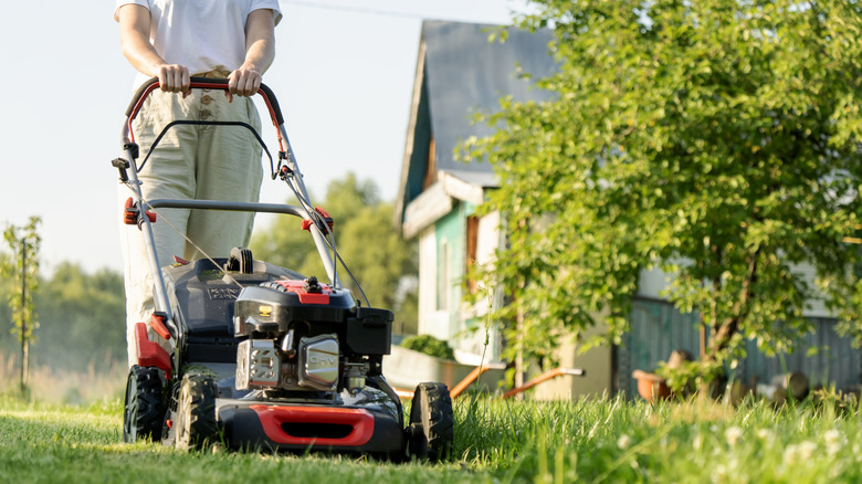 person pushing lawn mower