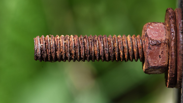rusted screw against green background