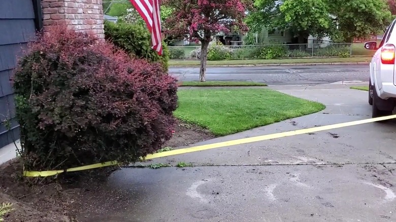 Using a vehicle to pull a shrub out of the ground