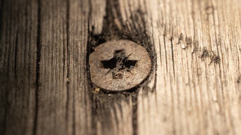 A close up image of an old rusty screw in a splintered wooden board.