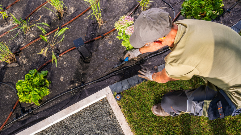 Person cutting landscape fabric with scissors