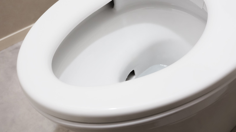 View of siphon jet in toilet bowl