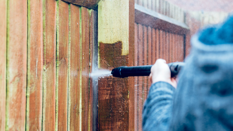A person power washing a wood fence with green algae on it