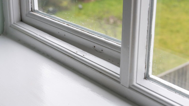 Cleaning window sill