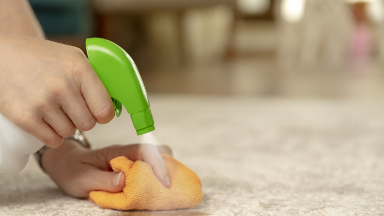 Person spraying carpet stain with a solution from a water bottle