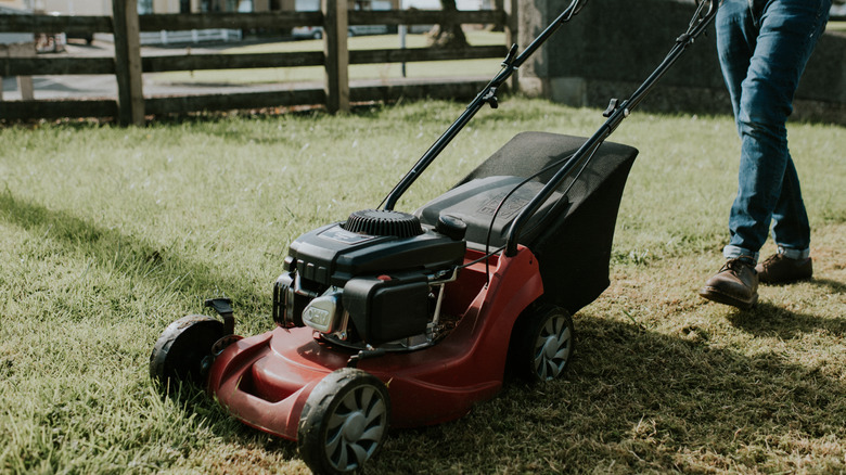 Man pushing a lawn mower with bag attachment