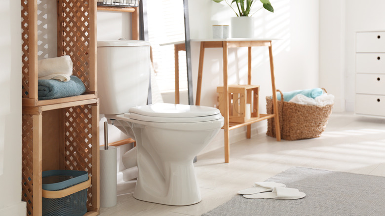 toilet in decorated bathroom