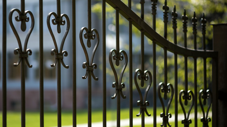 Wrought iron fence