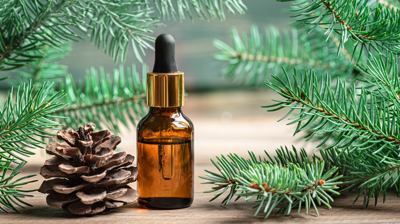 A small dropper bottle on a table adorned with a pine cone and pine leaves.