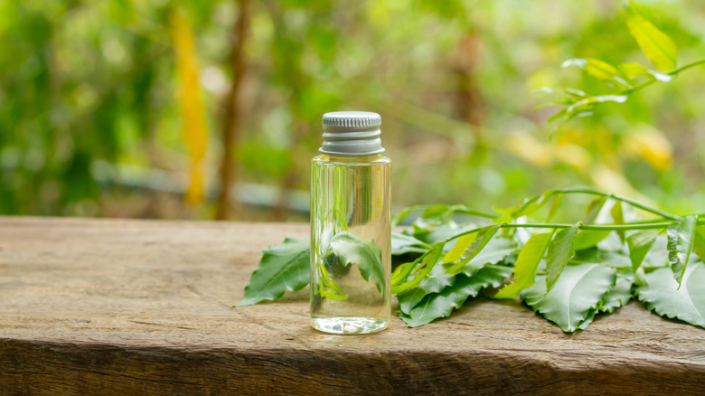 A bottle of neem oil in front of neem leaves on a wood surface