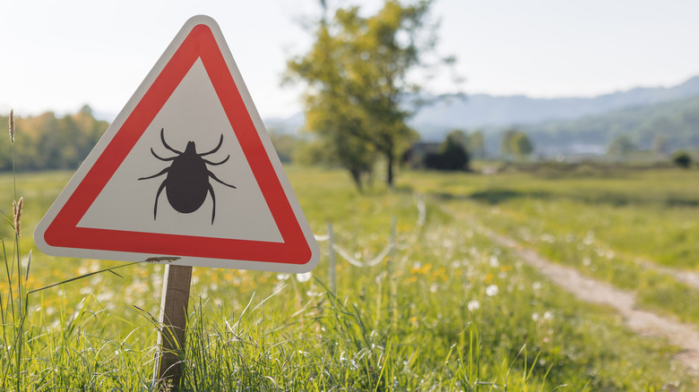 tick warning sign along trail