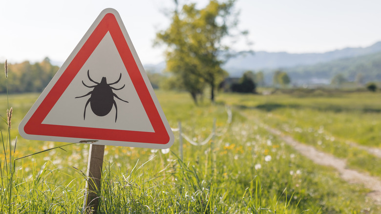 tick warning sign along trail